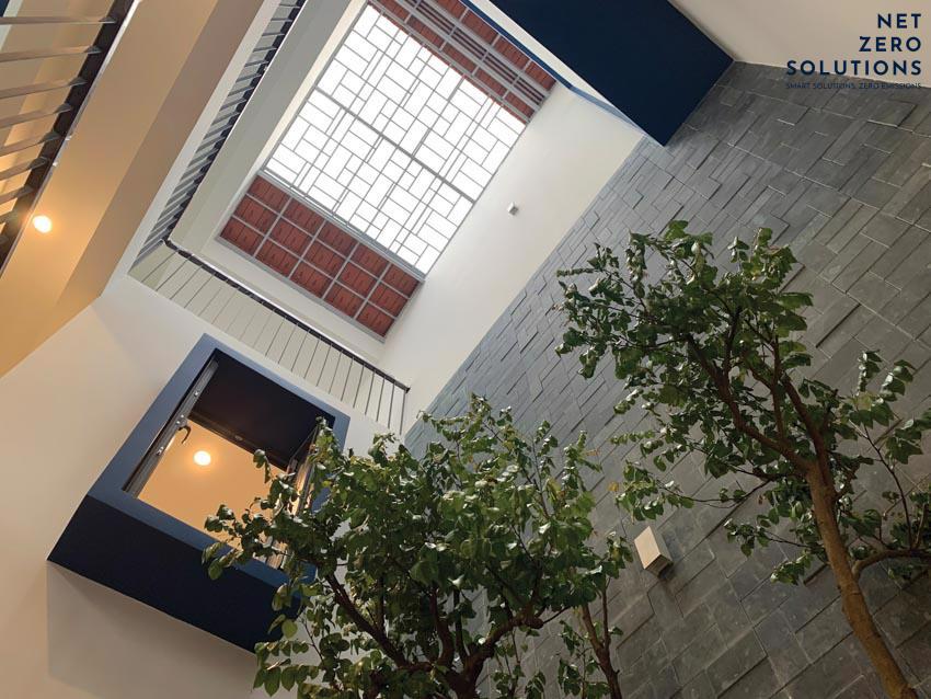 cây trồng giếng trời